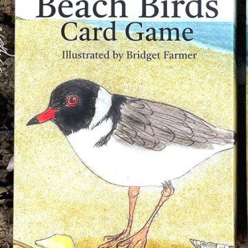 Image for The Beach Birds Card Game - Bridget Farmer