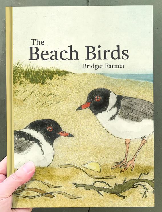 Image of The Beach Birds Book - Bridget Farmer