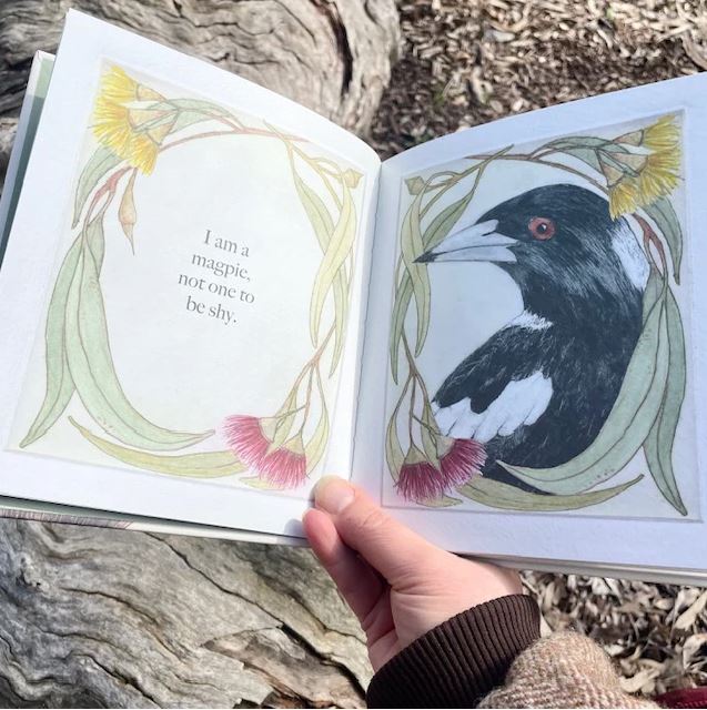 Image of I am a Magpie I am a Currawong Book | Bridget Farmer