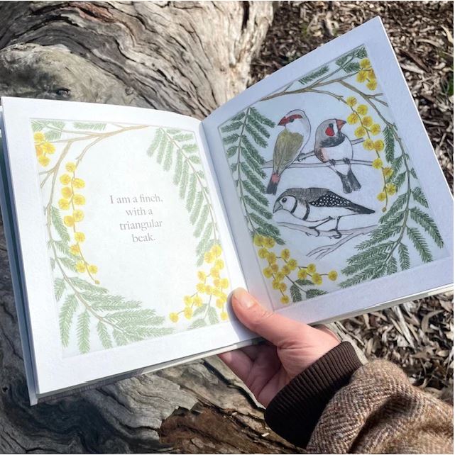 Image of I am a Magpie I am a Currawong Book | Bridget Farmer