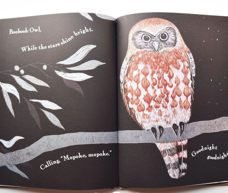 Image of Kookaburra Kookaburra Book | Bridget Farmer