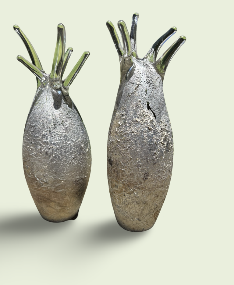 Image of Small Boab | Pete Reynolds