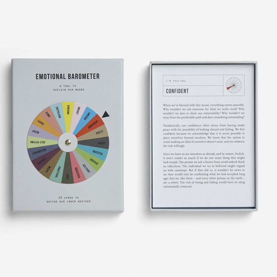Image of The School Of Life | Emotional Barometer