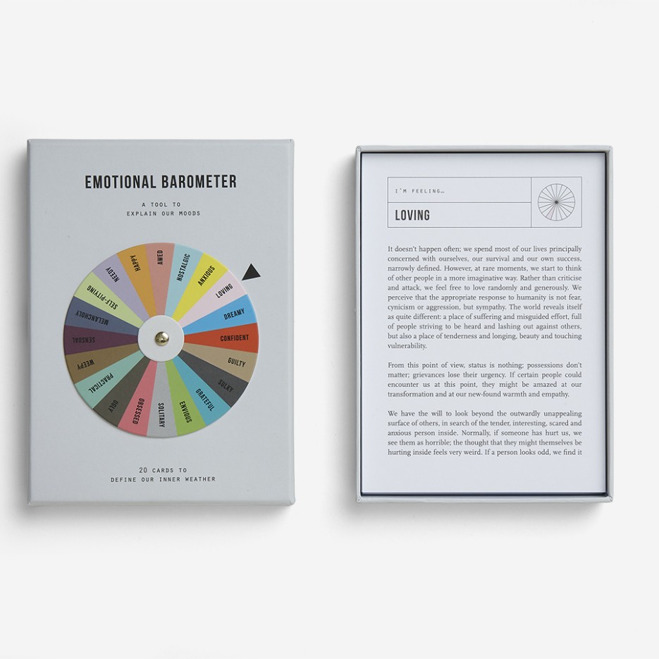 Image of The School Of Life | Emotional Barometer