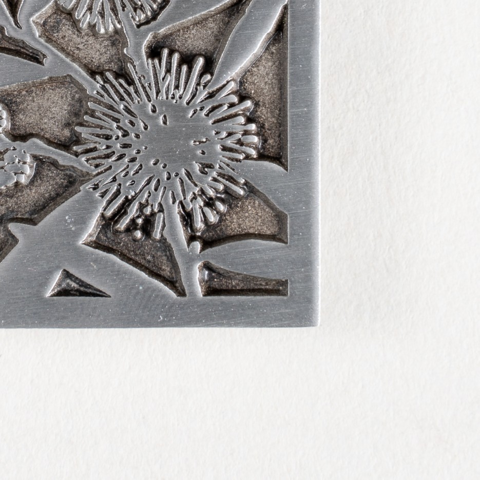 Image of ZJ Pincushion Hakea Pewter Brooch