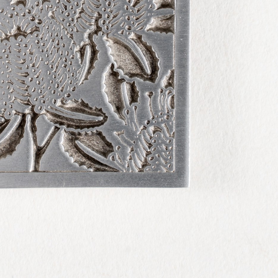 Image of ZJ Scarlet Banksia Pewter Brooch