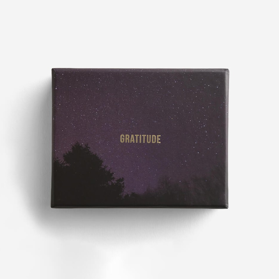 Image of The School Of Life | Gratitude