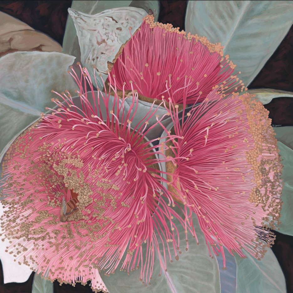 Image of Summertime Splendor 30x30cm | Stacy Gardoll