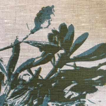 Image for Table Runner | Coast Banksia (BLD)