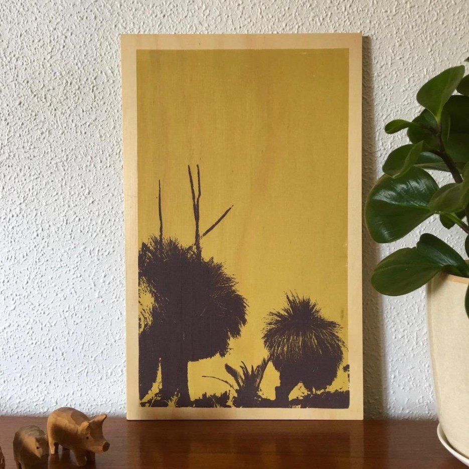 Image of Ply Panel Lrg |- Xanthorrhoea Preissii Grass Tree (BLD)