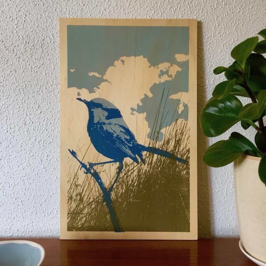 Image of Ply Panel Lrg | Splendid Blue Fairywren (BLD)