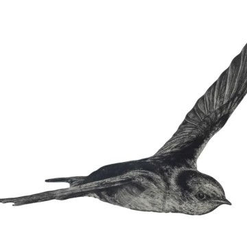 Image for Welcome Swallow 2 Wall Decal ALR-WSW-2