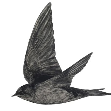 Image for Welcome Swallow 3 Wall Decal ALR-WSW-3