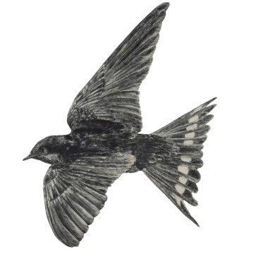 Image for Welcome Swallow 4 Wall Decal ALR-WSW-4
