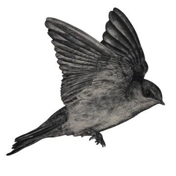 Image for Welcome Swallow 5 Wall Decal ALR-WSW-5