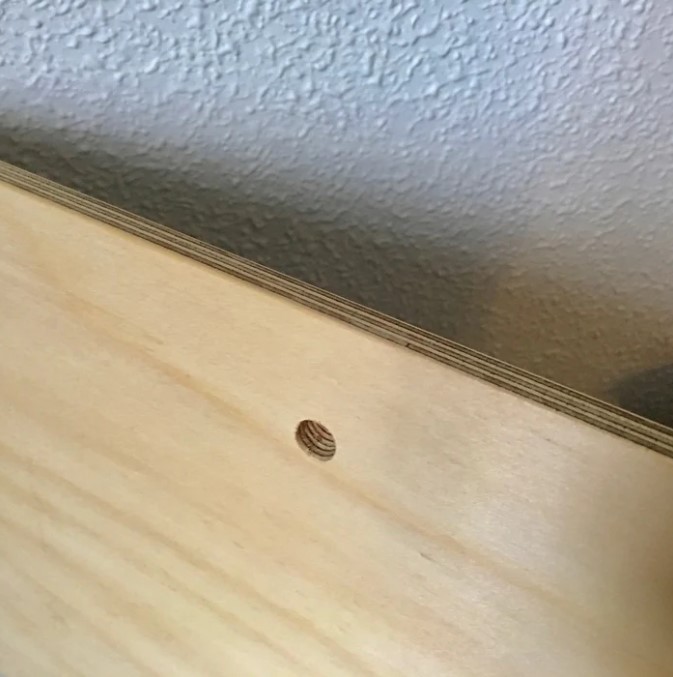 Image of Ply Panel Lrg | Black Swan (BLD)