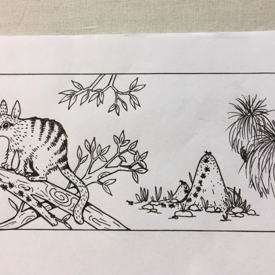 Image of Pencil Case - Numbat