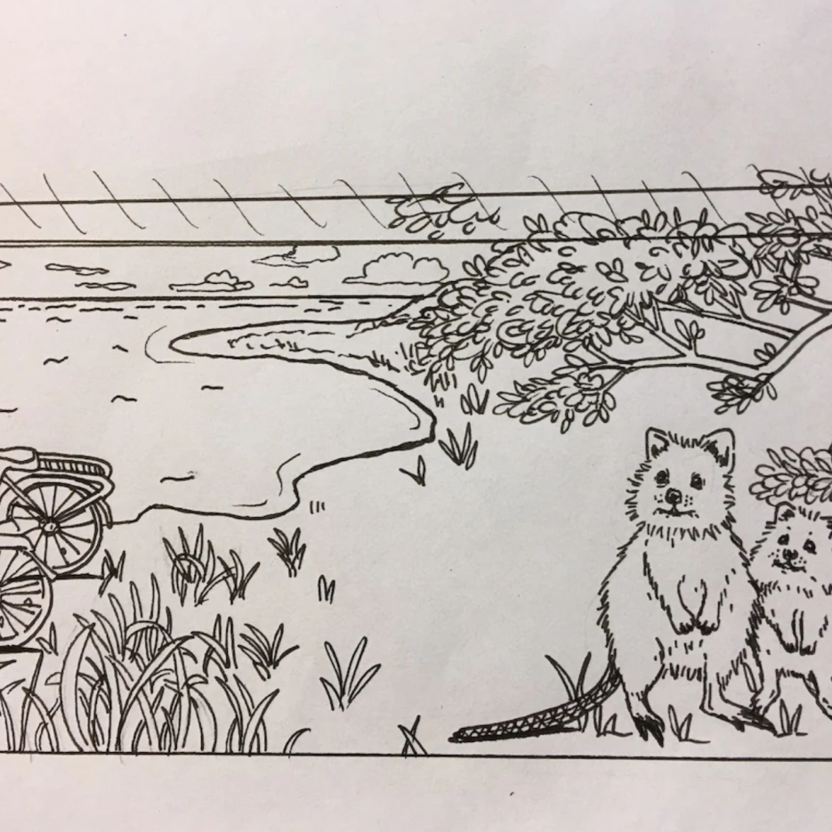 Image of Pencil Case - Quokkas