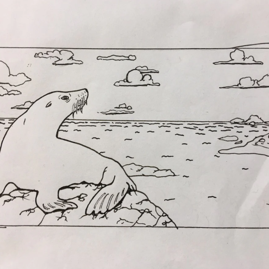 Image of Pencil Case - Sea Lion
