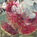 Product by Stacy Gardoll