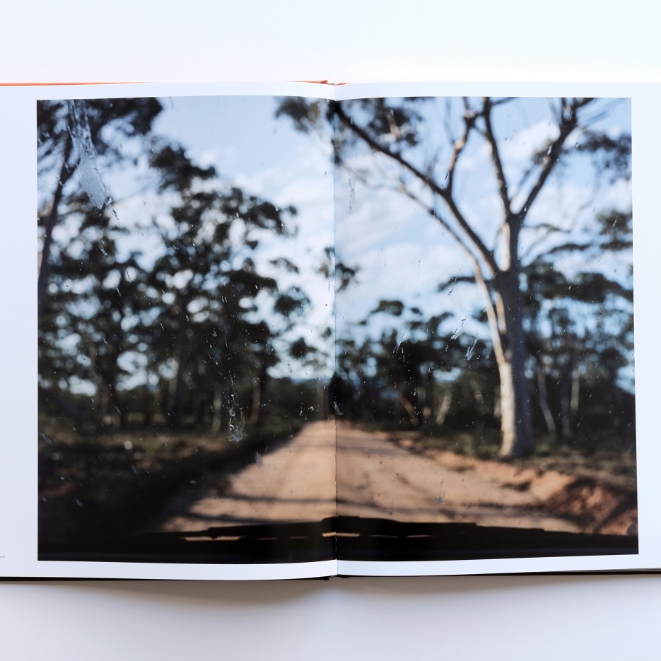 Image of Nature Boy - Brad Rimmer