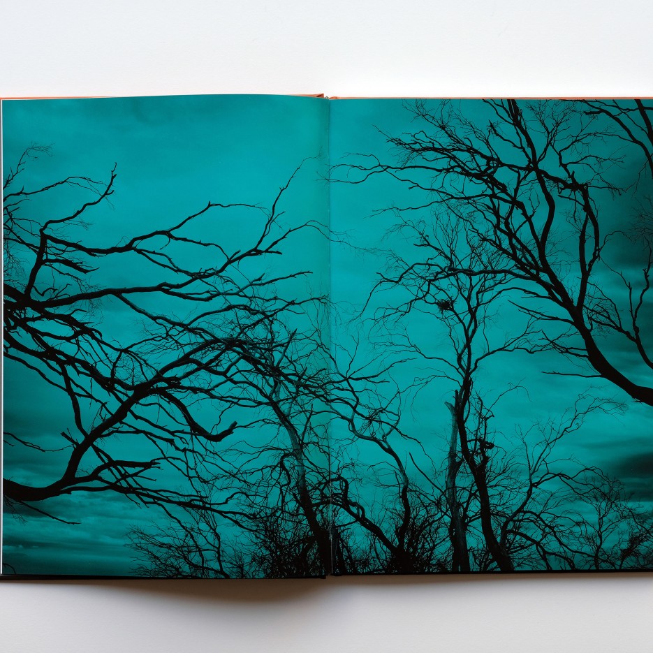 Image of Nature Boy - Brad Rimmer