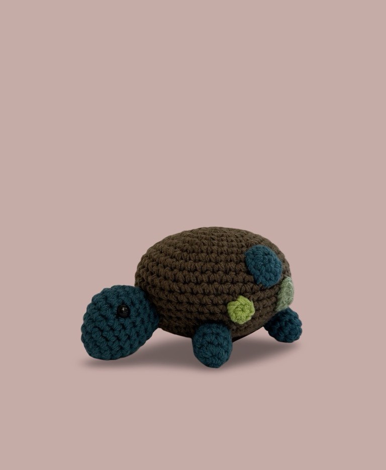 Image of Crochet Turtle I | Large (HAA)