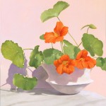 Product by Teresa Fernandez