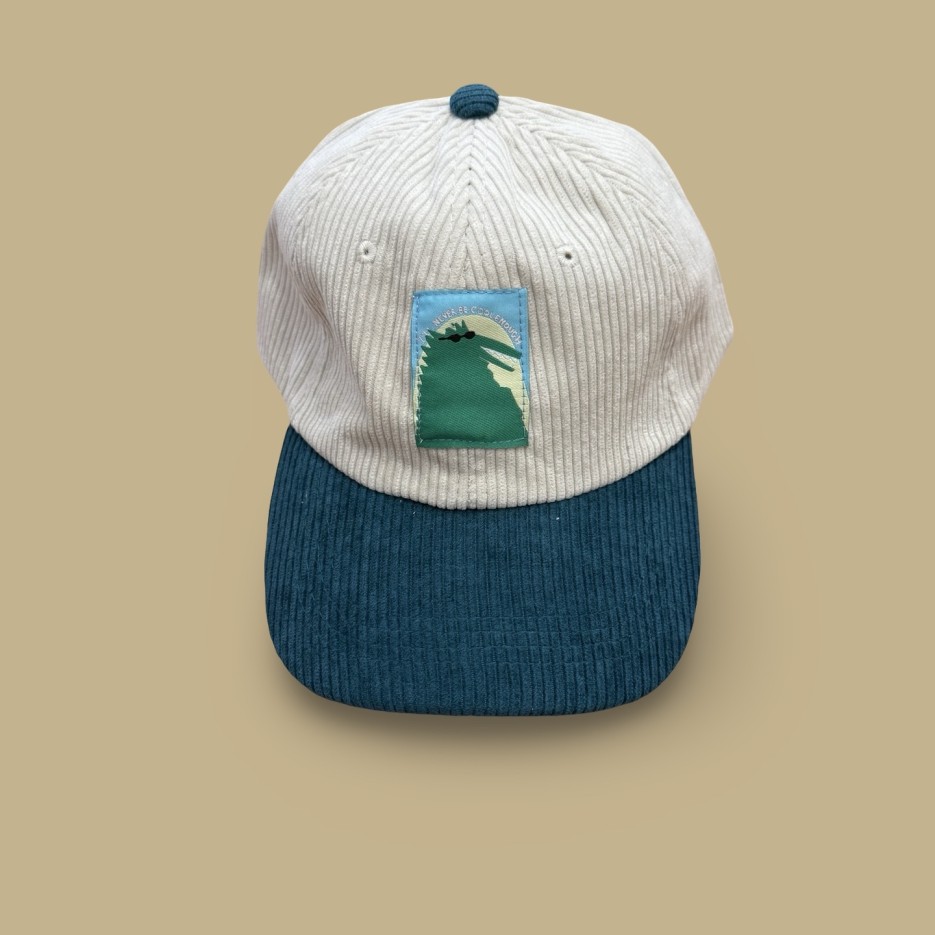 Image of Delimates Hat | I'll never be cool enough - Teal