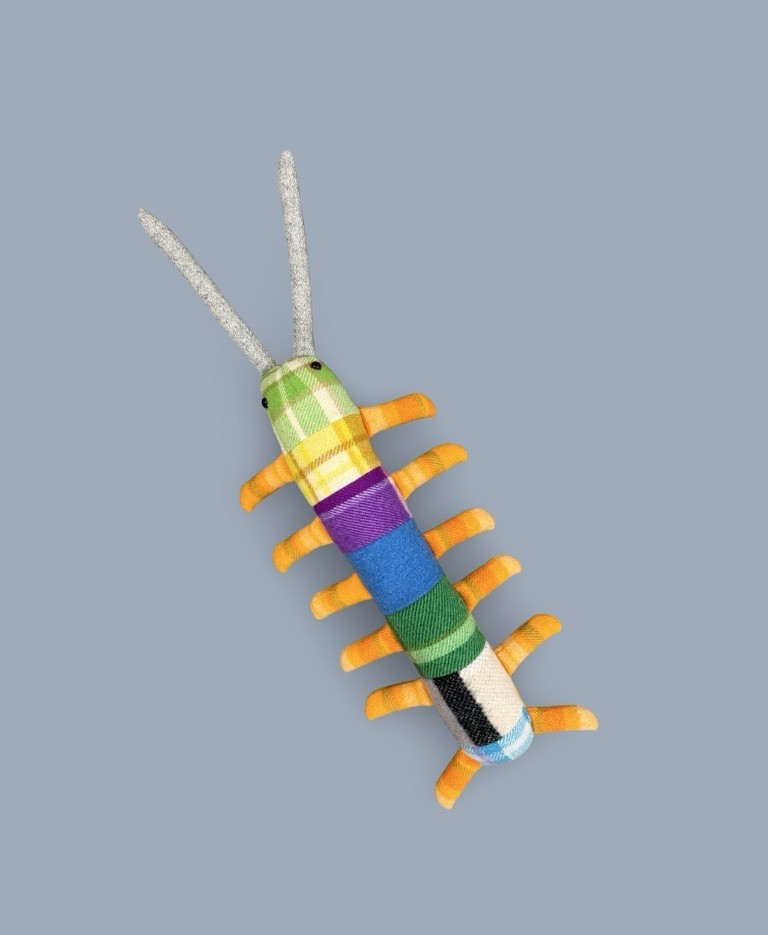 Image of Centipede Toy I | Julia Warren