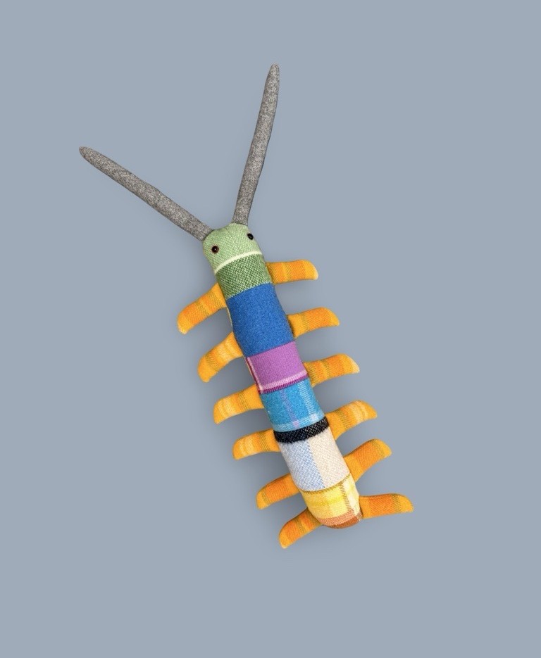 Image of Centipede Toy II | Julia Warren