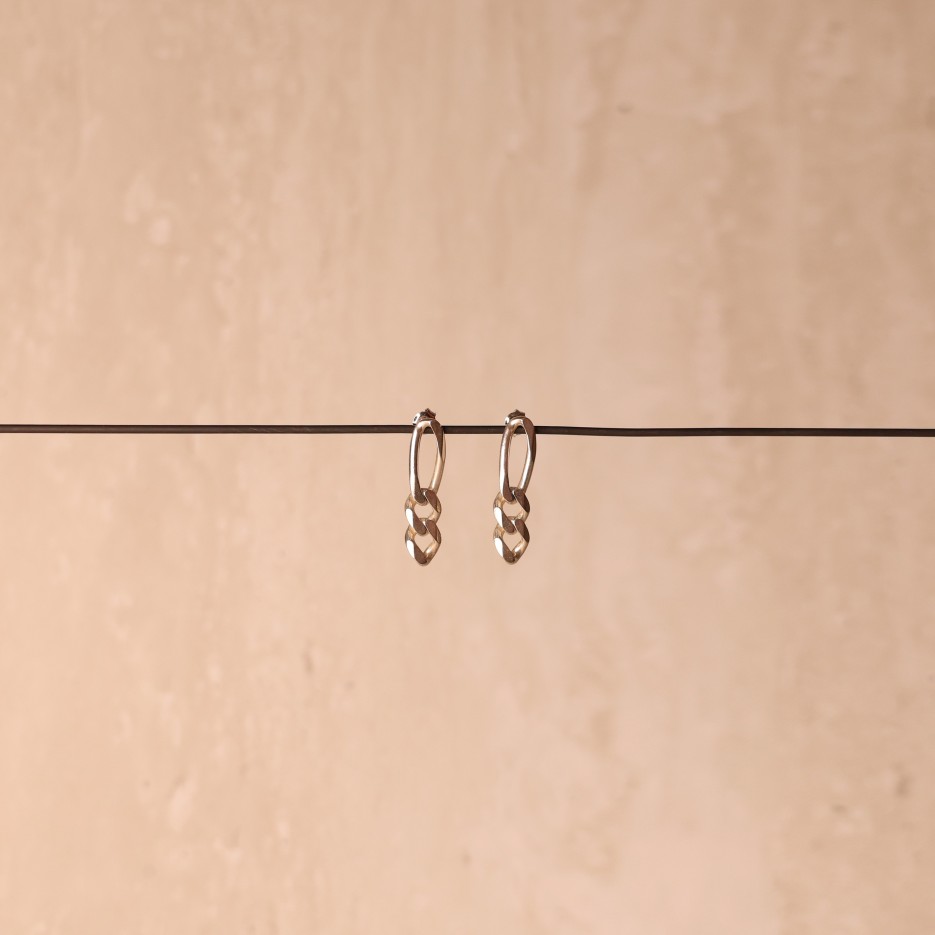 Image of Earrings | Figaro 3 Link