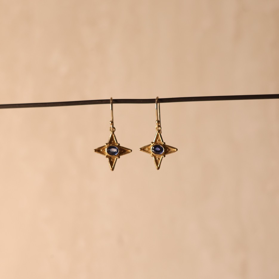 Image of Earrings | Ceylon Faceted Sapphire 9ct Gold Star (STE22)