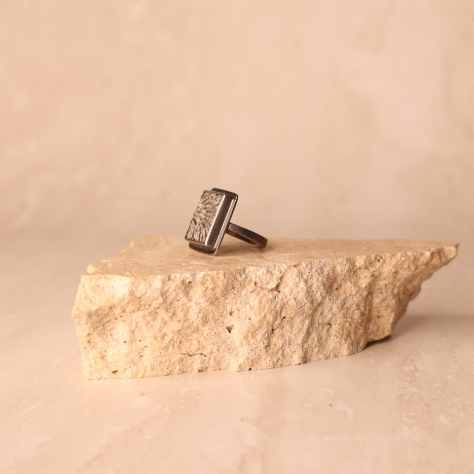 Image of Ring | Sterling Silver + Fossilized Wood