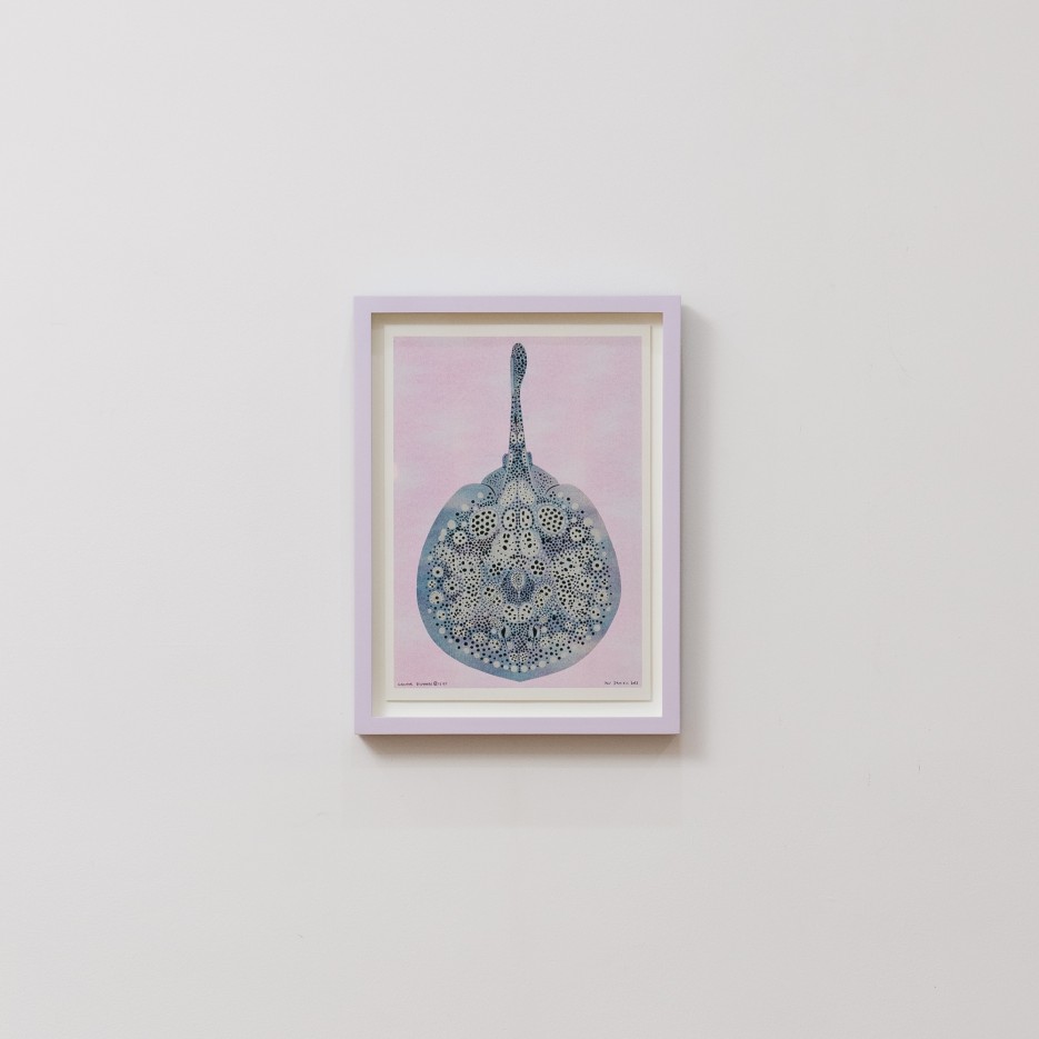 Image of Riso Print | Circular Stingaree