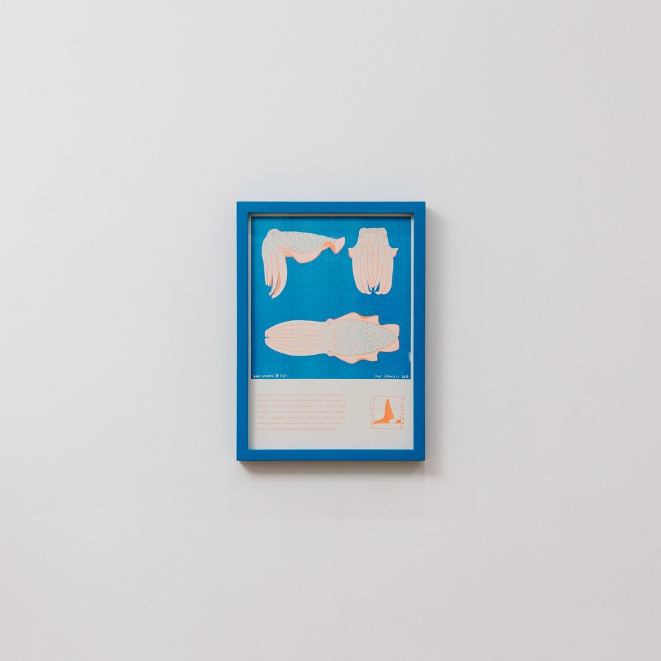 Image of Riso Print | Giant Cuttlefish