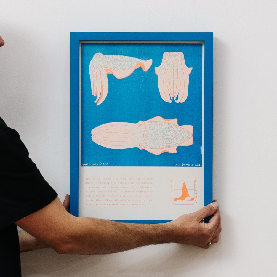 Image of Riso Print | Giant Cuttlefish