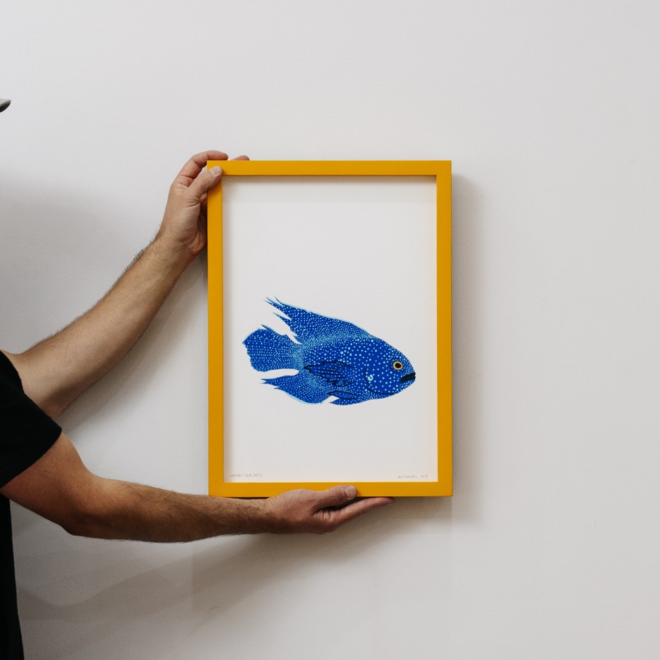 Image of Print | Western Blue Devil